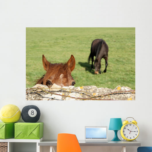 Horse Wall Mural