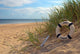 Usedom Wall Mural