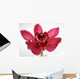 Orchid Wall Mural
