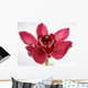 Orchid Wall Mural