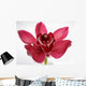 Orchid Wall Mural