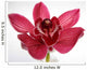 Orchid Wall Mural