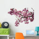 Cherry Blossoms Wall Decal