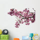 Cherry Blossoms Wall Decal