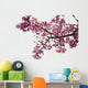 Cherry Blossoms Wall Decal