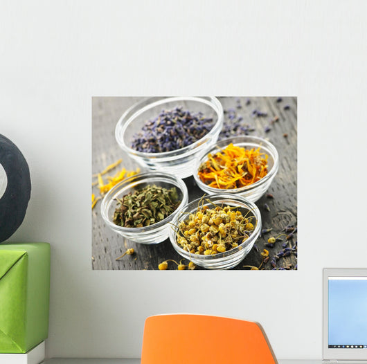 Dried medicinal herbs Wall Mural