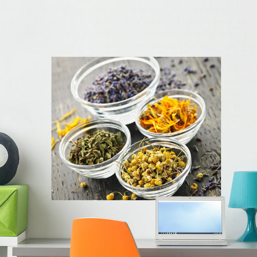 Dried medicinal herbs Wall Mural