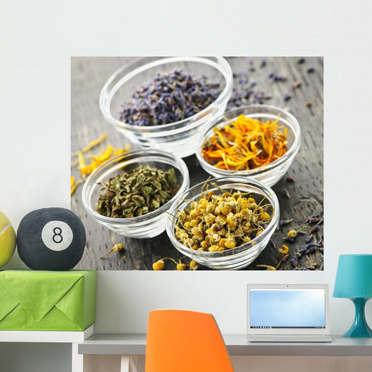 Dried medicinal herbs Wall Mural