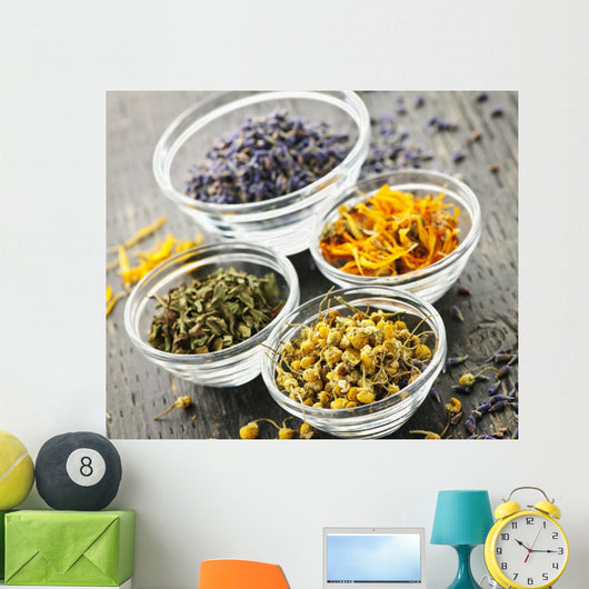 Dried medicinal herbs Wall Mural