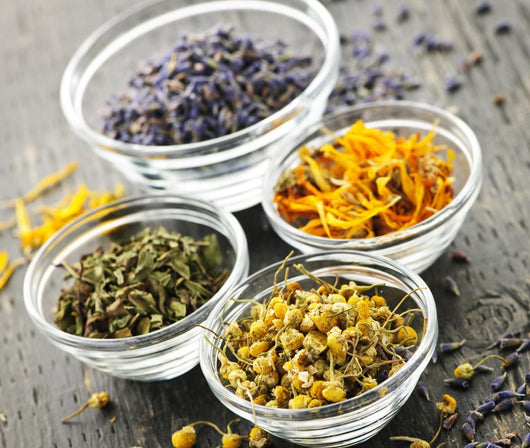 Dried medicinal herbs Wall Mural