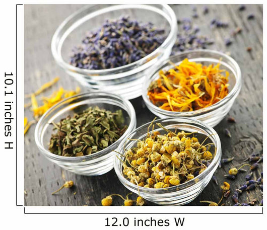 Dried medicinal herbs Wall Mural