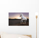 White Horse and Sunset Wall Mural