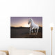 White horse and the sunset in the desert Wall Mural