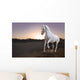 White horse and the sunset in the desert Wall Mural