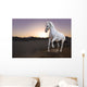 White horse and the sunset in the desert Wall Mural