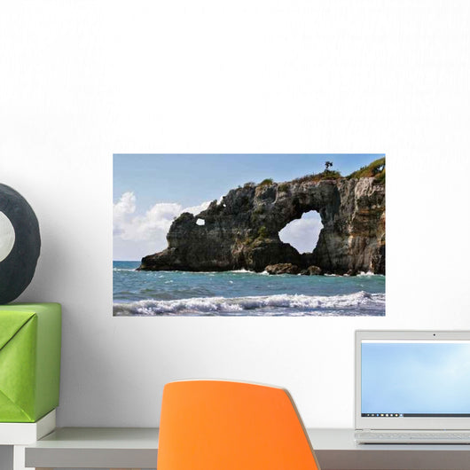 Ventana Beach Wall Decal