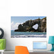 Ventana Beach Wall Decal