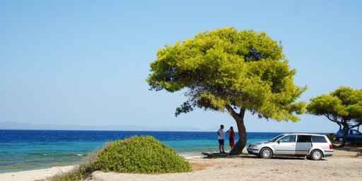 Trees Sea Car Family Wall Decal