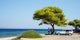 Trees Sea Car Family Wall Decal