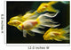 Goldfish Wall Mural