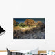 Immediately after Fires Forest Wall Decal