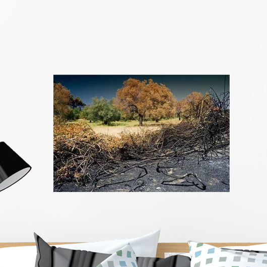Immediately after Fires Forest Wall Decal