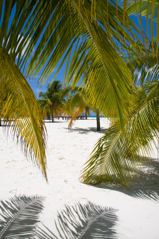 Cayo Largo