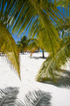 Cayo Largo