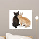 Black kitten playing with rabbit in front of white background Wall Decal