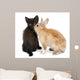 Black kitten playing with rabbit in front of white background Wall Decal