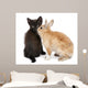 Black kitten playing with rabbit in front of white background Wall Decal
