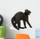 Frightened Black Kitten Standing