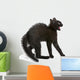 Frightened Black Kitten Standing