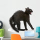 Frightened Black Kitten Standing