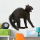 Frightened Black Kitten Standing