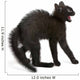 Frightened Black Kitten Standing