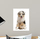 Blue Merle Australian Shepherd Wall Decal