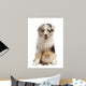 Blue Merle Australian Shepherd puppy playing with rabbit Wall Decal
