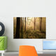 Spring woods at dawn Wall Mural