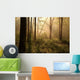 Spring woods at dawn Wall Mural