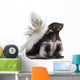 Striped Skunk Mephitis Mephitis Wall Decal