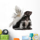 Striped Skunk Mephitis Mephitis Wall Decal