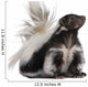 Striped Skunk Mephitis Mephitis Wall Decal