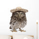 Young Sombrero Owl Wall Decal