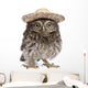 Young Sombrero Owl Wall Decal