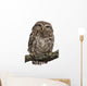 Young Owl Perching Branch Wall Decal Design 1