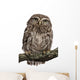 Young Owl Perching Branch Wall Decal Design 1