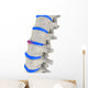 Spinal Disks Wall Decal