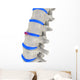 Spinal Disks Wall Decal