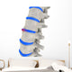 Spinal Disks Wall Decal
